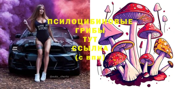 apvp Нефтегорск